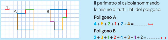 Poligoni con perimetro