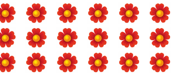 18 fiori divisi in 6 gruppi